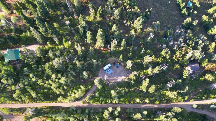 Wooded acreage with established roads and multiple clearings