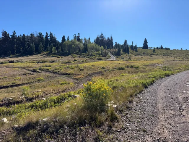 Nearby open meadow and riding trails