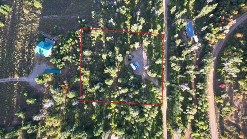 Wooded lot with cleared area, surrounded by lush natural foliage