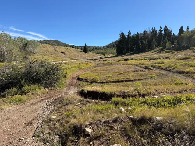 Nearby open meadow and riding trails
