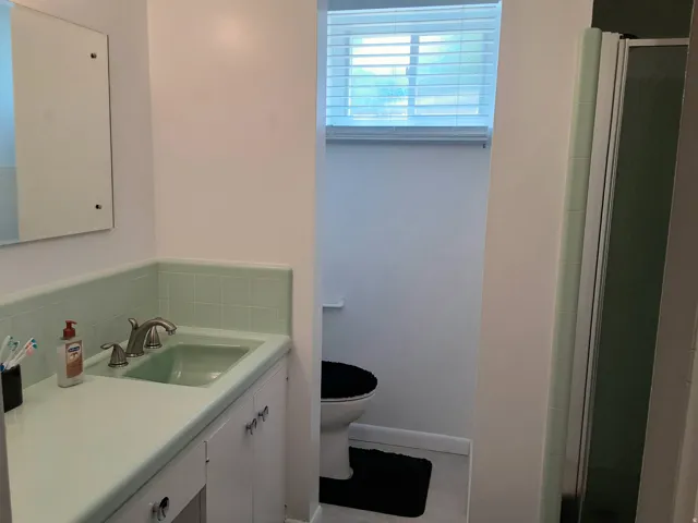 Basement - 3/4 Bath with vanity, toilet, and shower