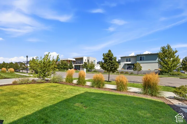 Manicured lawn with a concrete walkway, bordered by ornamental grasses and a paved street
