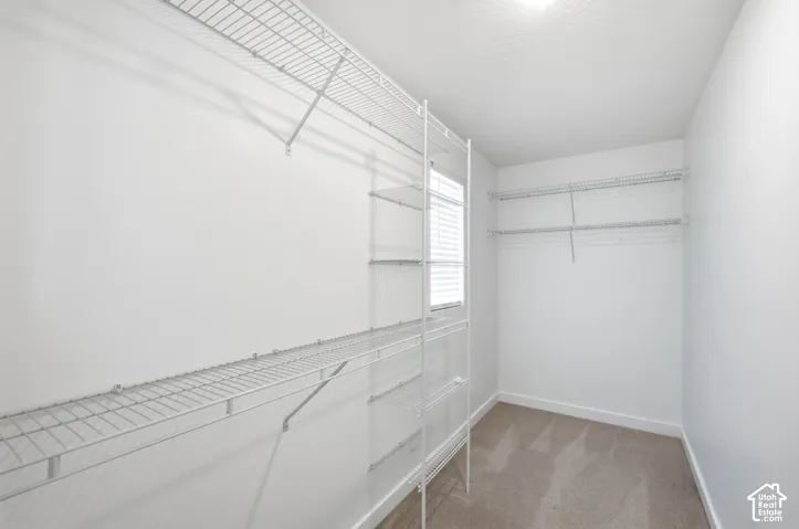 Spacious primary suite closet featuring wire shelving, wire hanging rods, and carpet flooring