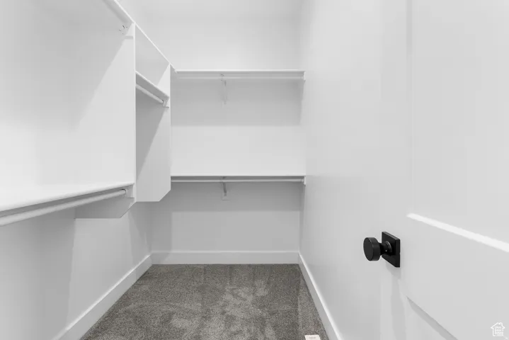 Walk-in closet with carpet flooring, white shelving, and hanging rods