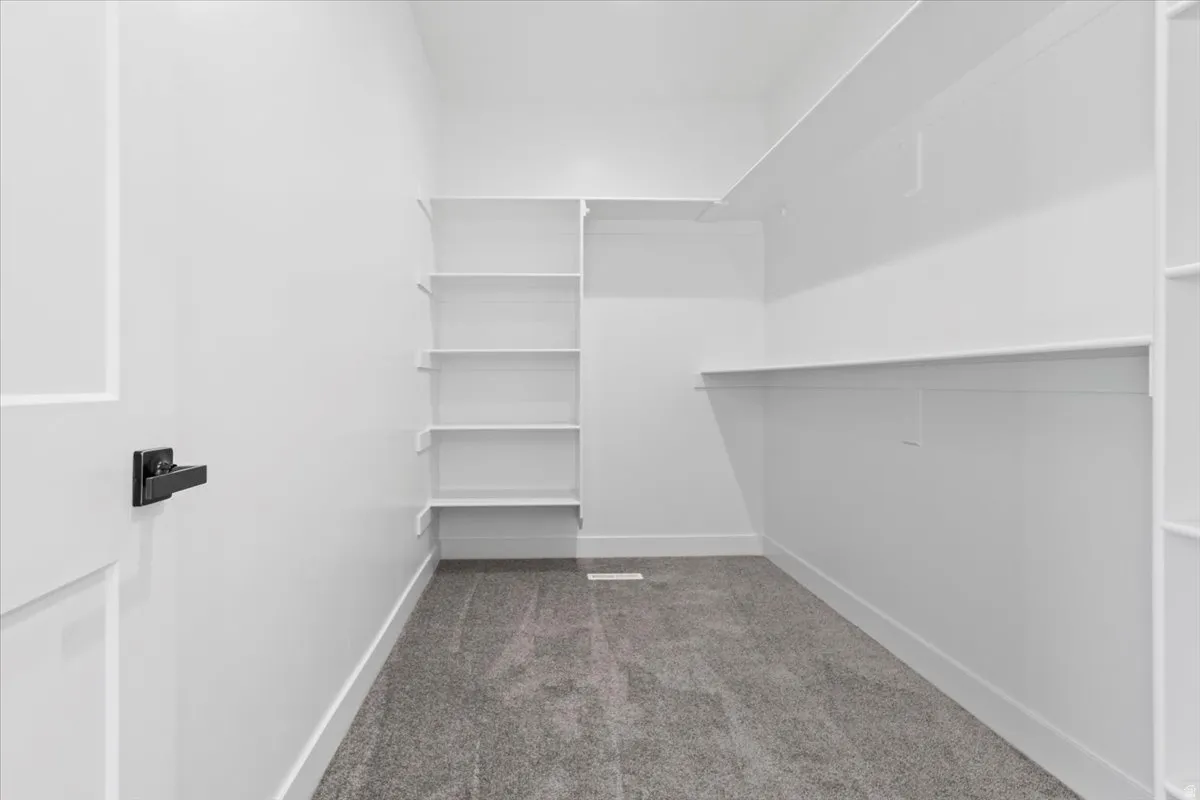 Walk-in closet with carpet flooring, white walls, built-in shelving, and hanging rods