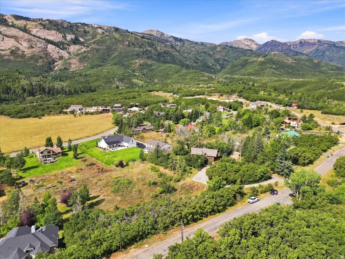 Mountainous backdrop with expansive green foliage and scattered residential properties