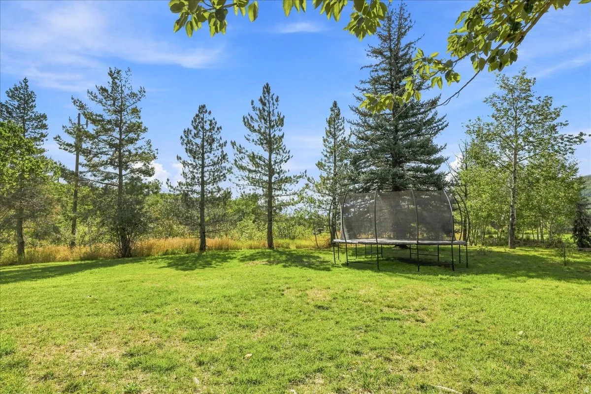 Expansive green lawn surrounded by mature trees and natural foliage
