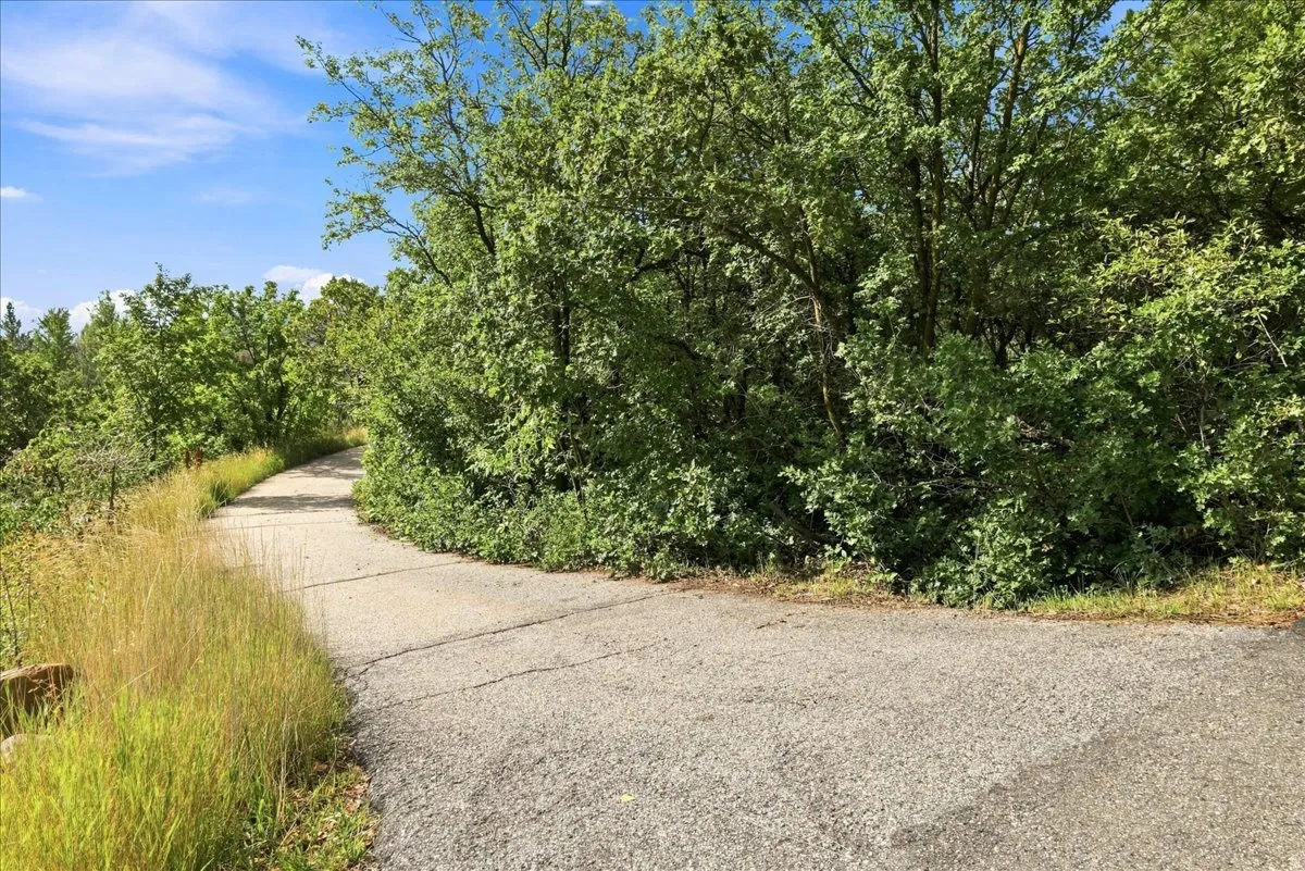 Paved path bordered by established trees and natural foliage