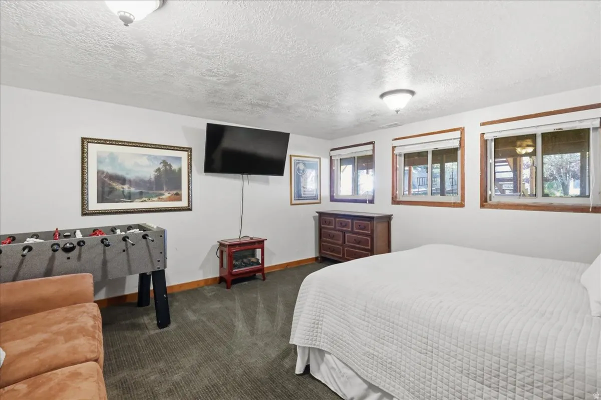 Recessed lighting fixtures, multiple windows with wood-trim framing, built-in shelving, and carpeted flooring