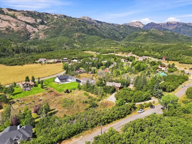 Mountainous backdrop with expansive green foliage and scattered residential properties