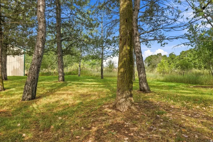 Expansive grassy area with mature trees and natural landscaping