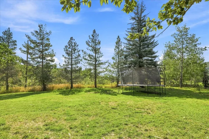 Expansive green lawn surrounded by mature trees and natural foliage