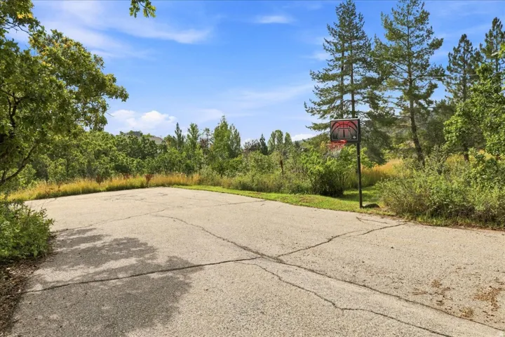 Paved outdoor court with a basketball hoop, surrounded by mature trees and natural landscaping