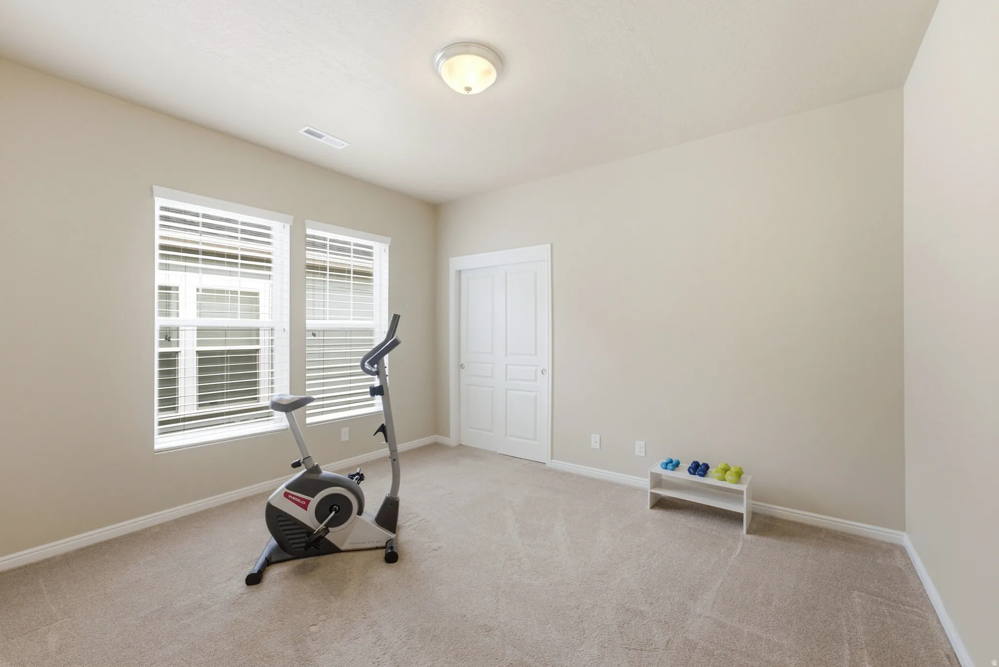 Bright, light-filled bonus room featuring large windows with plantation shutters, neutral carpeting, recessed ceiling lighting, and a white six-panel closet door