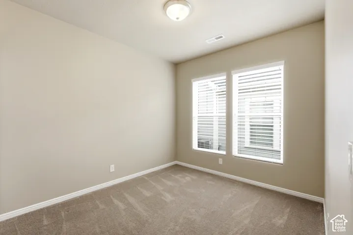 Carpeted room featuring two window units with blinds and a flush mount ceiling light