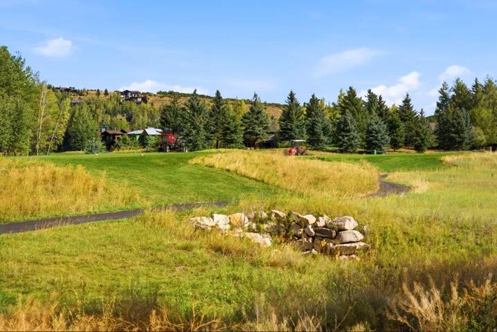 Expansive green space featuring natural landscaping, mature evergreen trees, and paved pathways