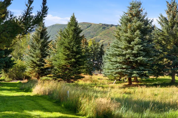 Lush green lawn with mature evergreen trees, golden wild grasses, and a mountain backdrop