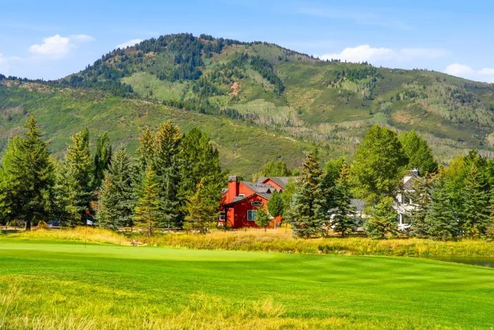 Expansive green lawn with mountain backdrop, surrounded by mature evergreen trees