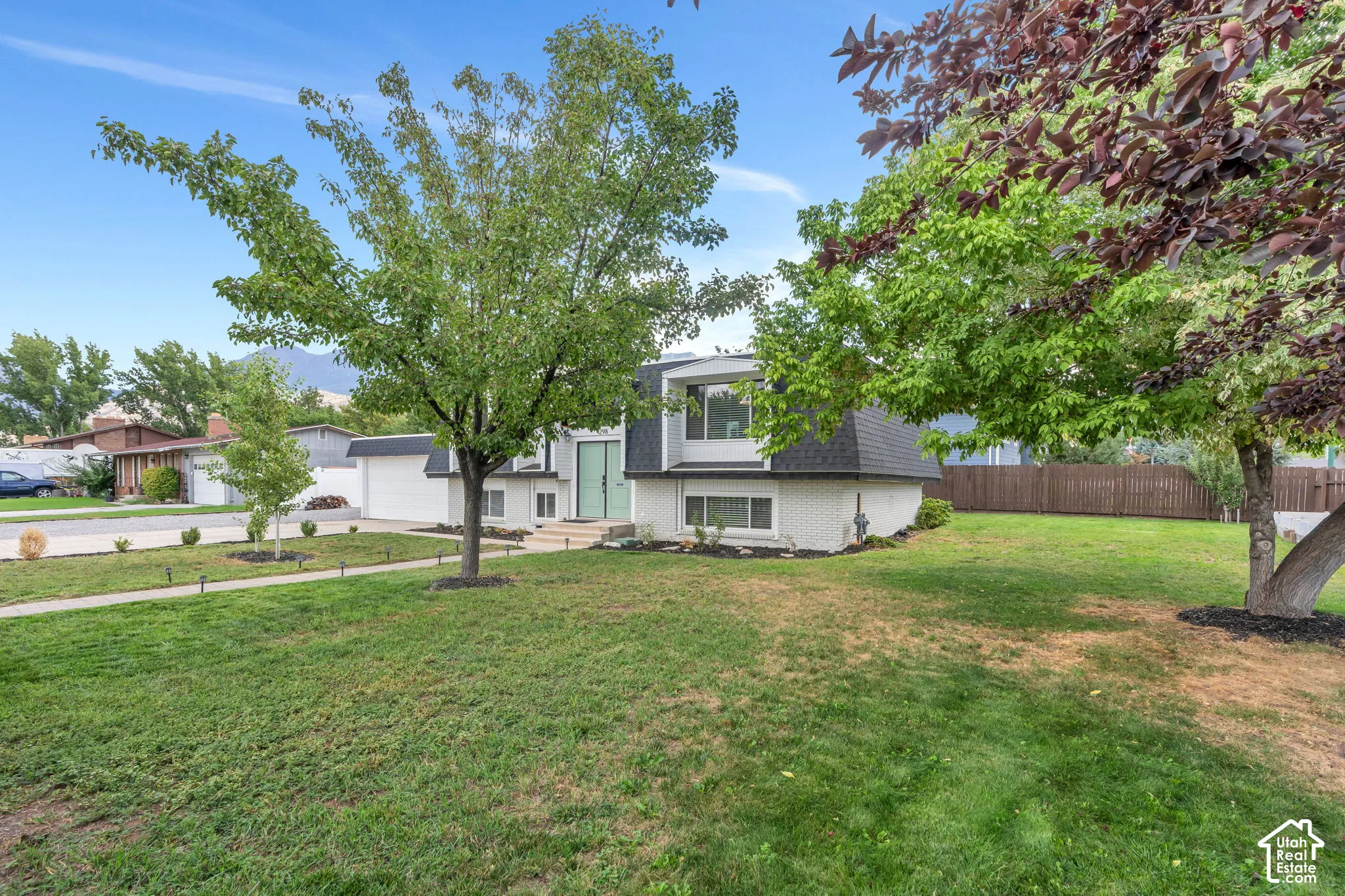 Expansive front lawn with mature trees and a paved walkway