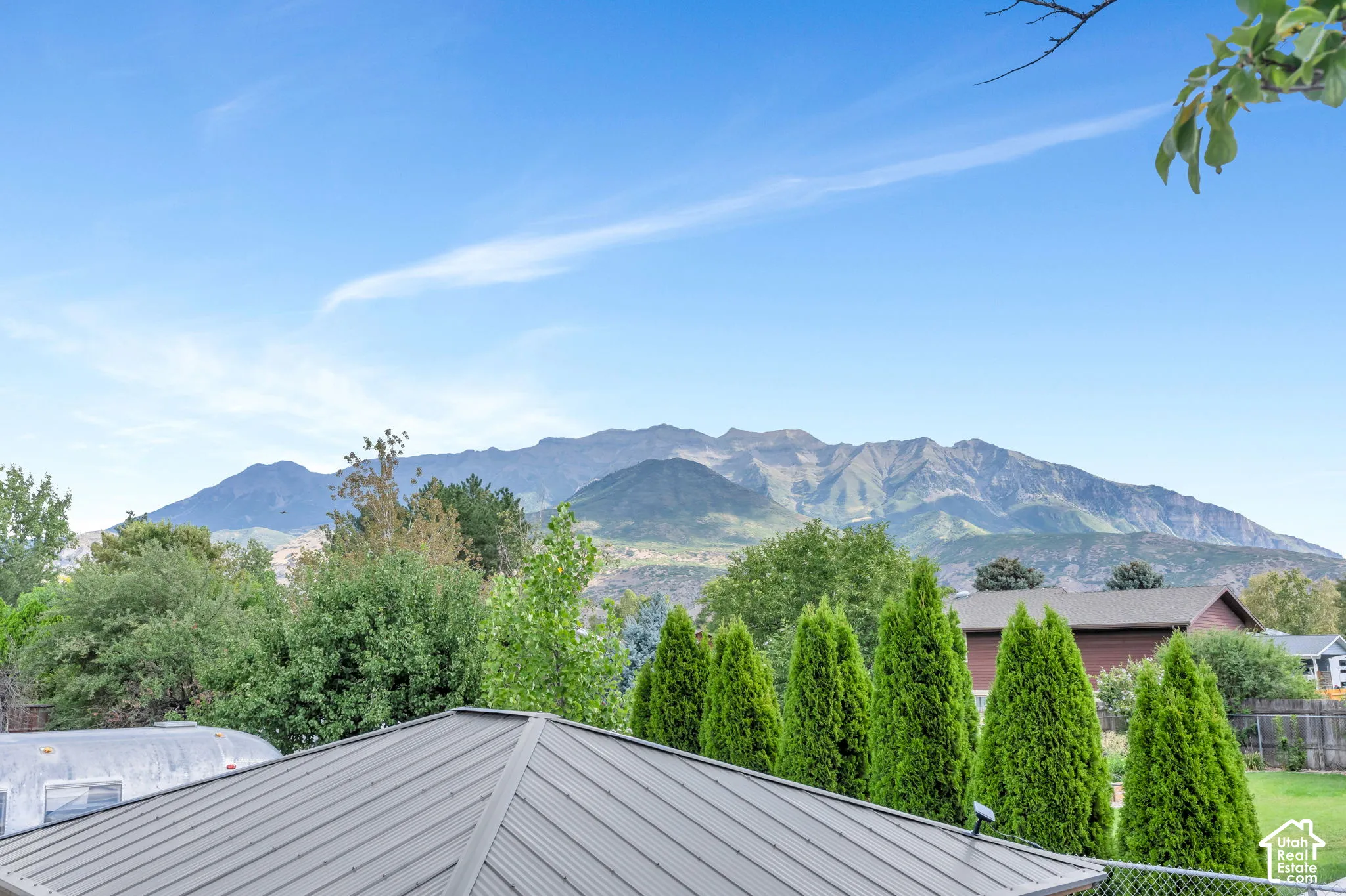 Metal panel roof with a mountain backdrop and mature trees