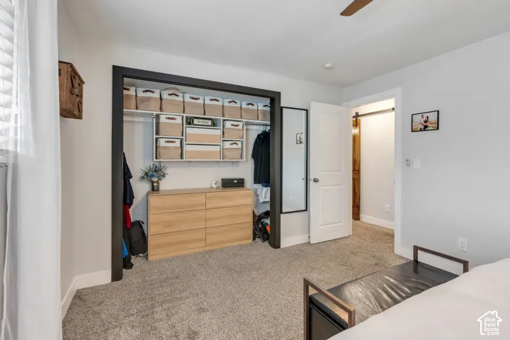 Carpeted room featuring a built-in closet system with open shelving, a ceiling fan, and a white interior door