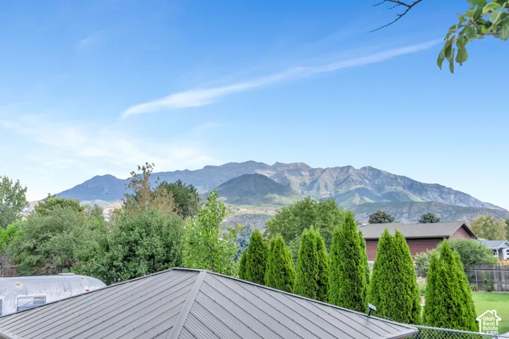 Metal panel roof with a mountain backdrop and mature trees