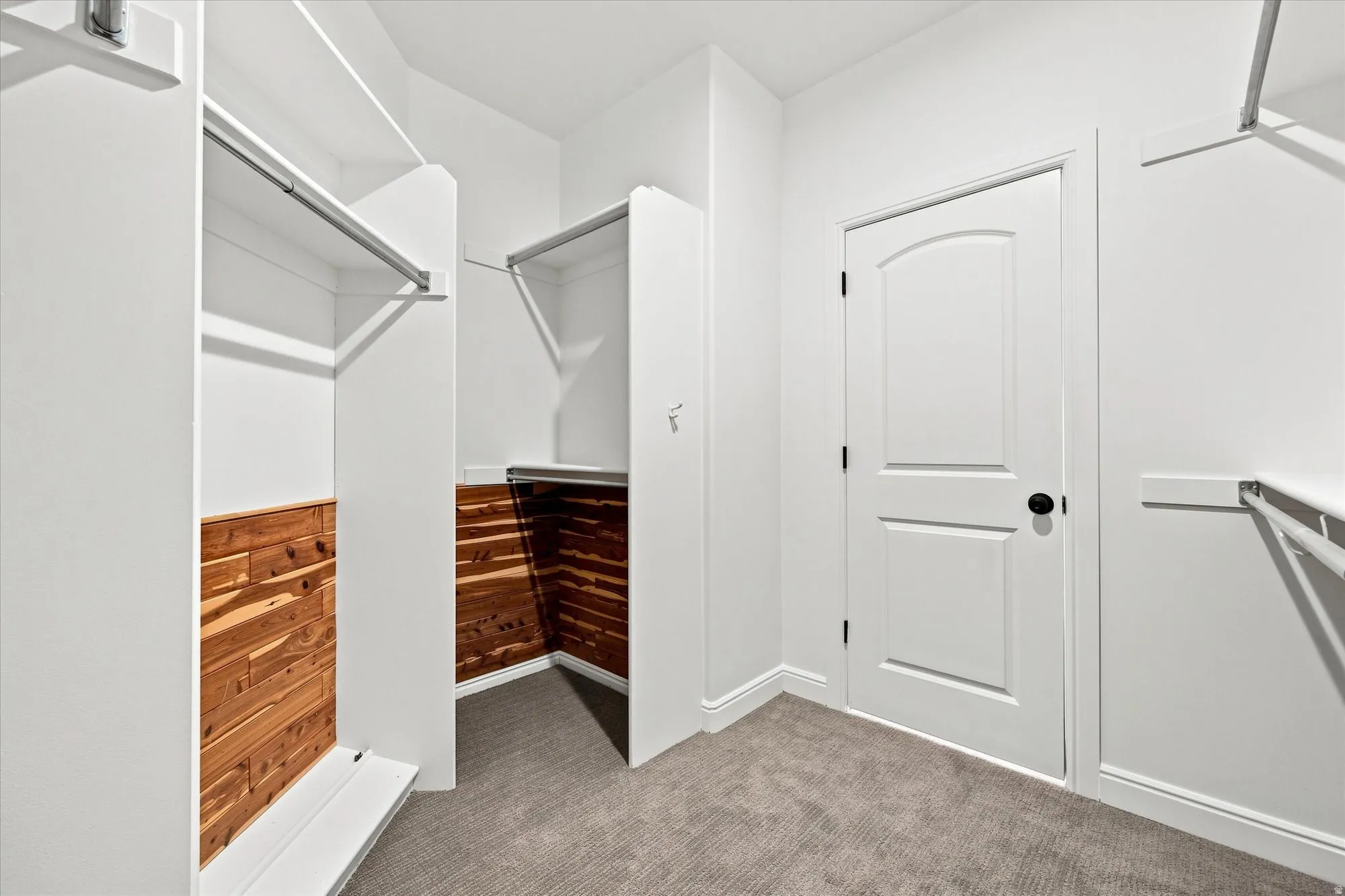 Walk-in closet with built-in shelving, cedar paneling, hanging rods, and carpet flooring