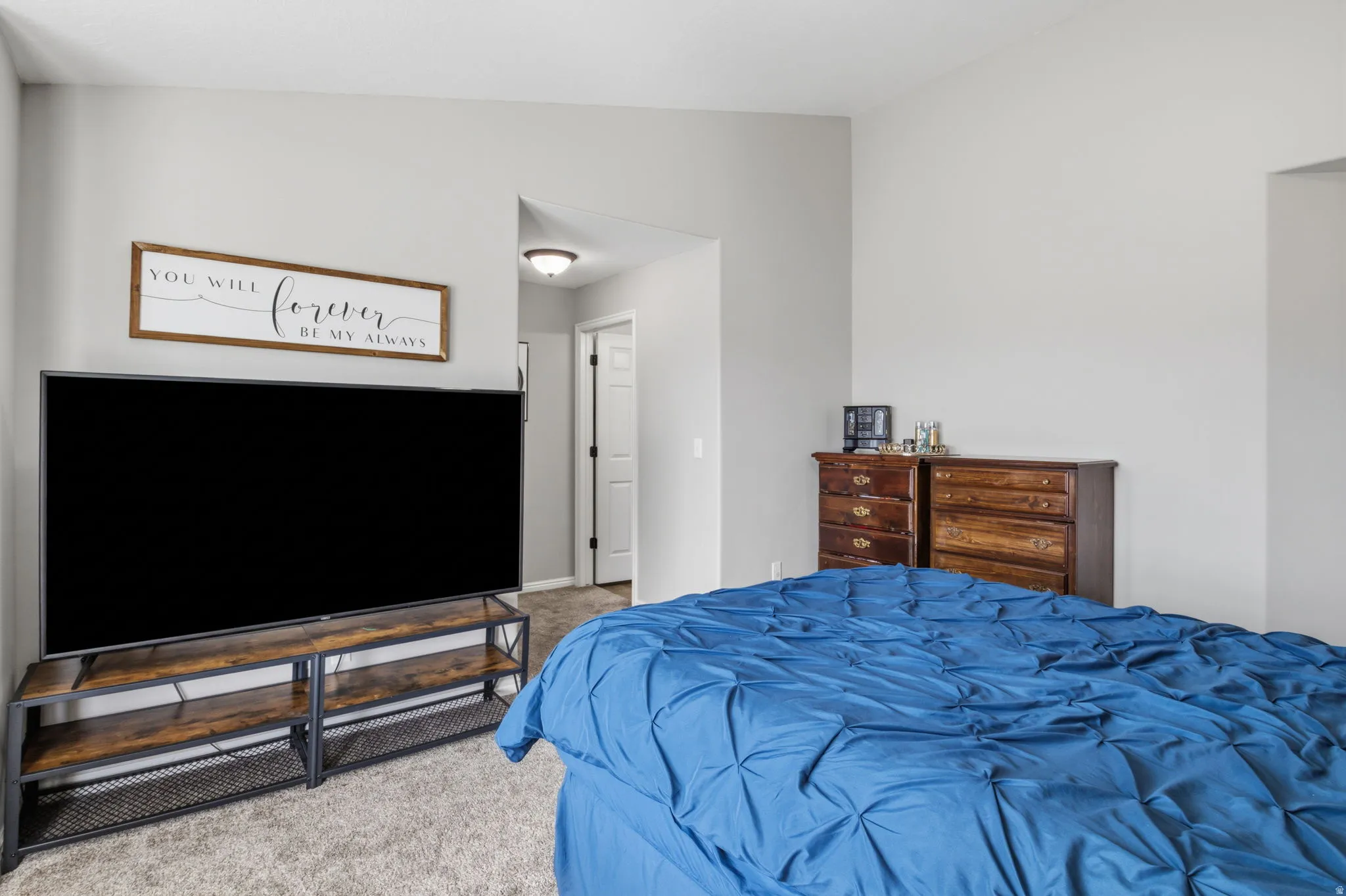 Light gray wall paint, carpeted flooring, and a recessed doorway