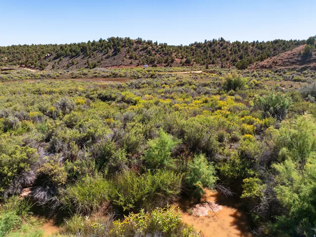 Diverse vegetation with varied green and yellow foliage, a natural waterway, and distant forested hills