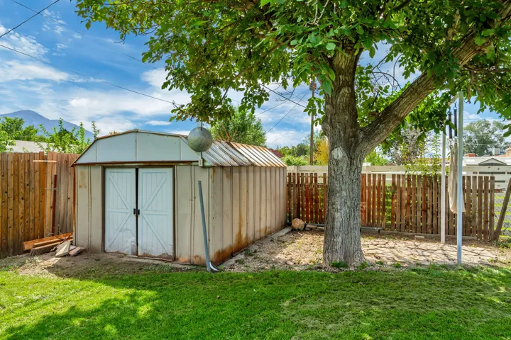 Back Yard Storage Shed