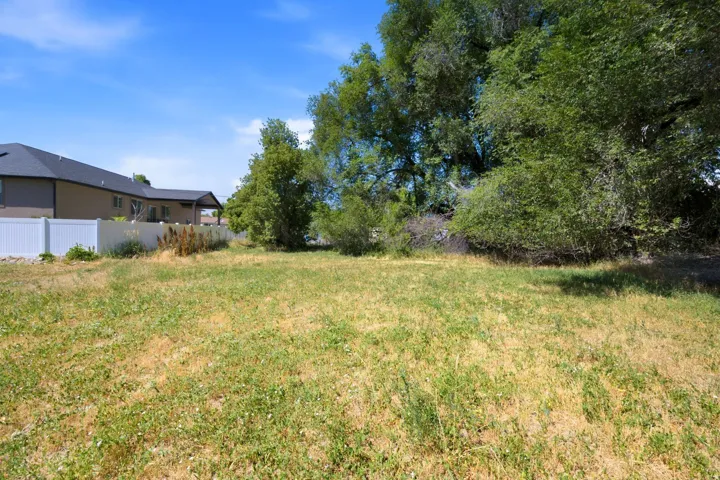 Expansive lot featuring a vibrant green and tan ground cover, mature trees providing natural screening, and a white privacy fence