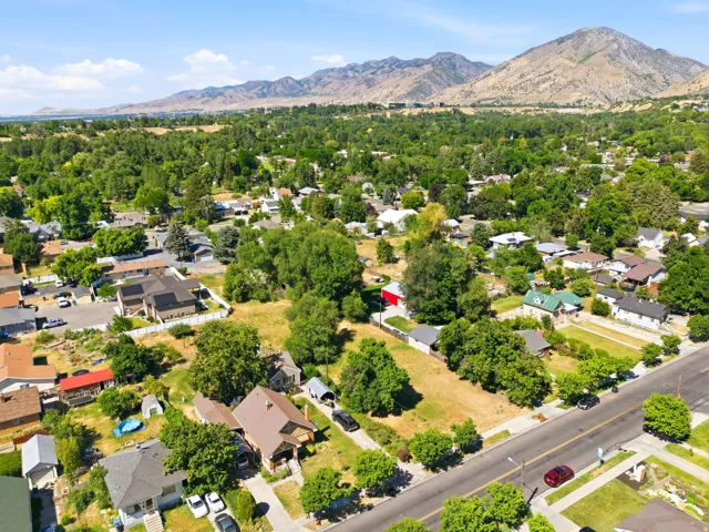 Aerial perspective featuring a residential area, extensive mature trees, and mountainous terrain in the distance