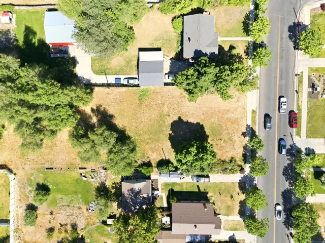 Expansive undeveloped lot with existing mature trees and direct street frontage