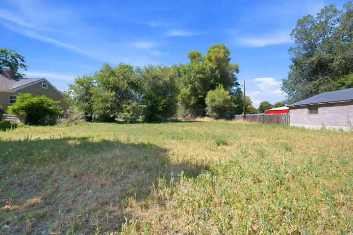 Expansive lot featuring a natural grass expanse, mature trees, and a partial wood fence