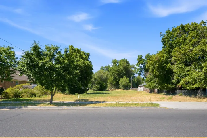 Expansive undeveloped lot featuring mature trees and a paved street frontage