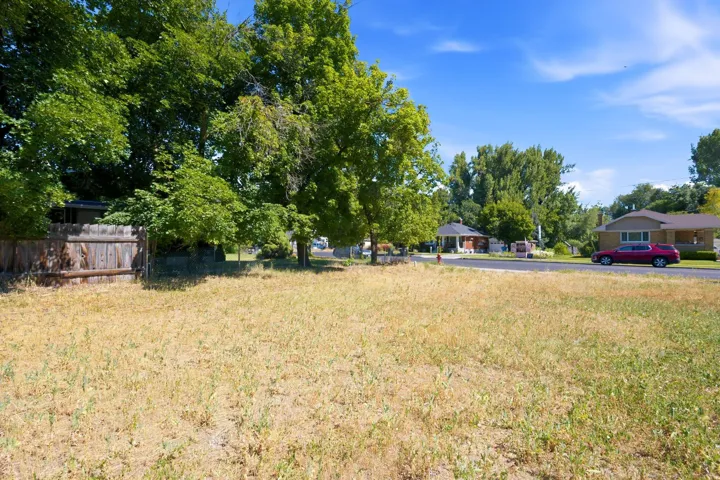 Expansive lot featuring a wooden privacy fence, mature trees, and a clear building area