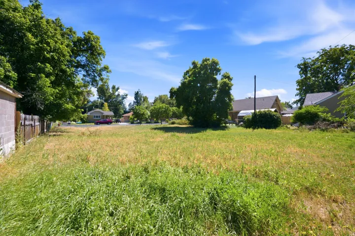 Expansive undeveloped lot with natural ground cover