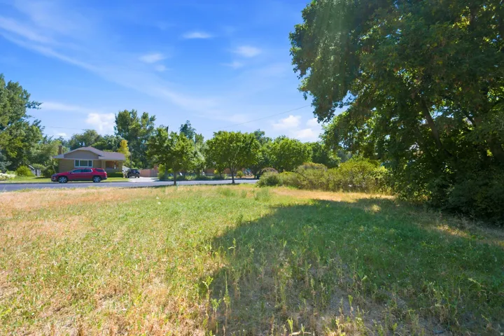 Expansive grassy parcel with mature trees