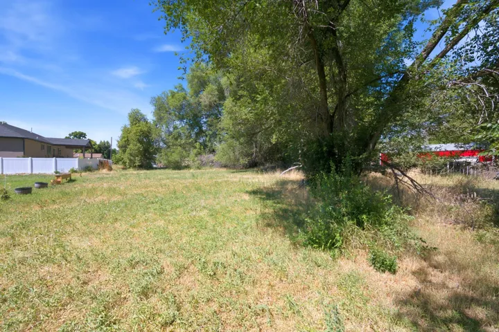 Expansive lot featuring mature trees and a white privacy fence