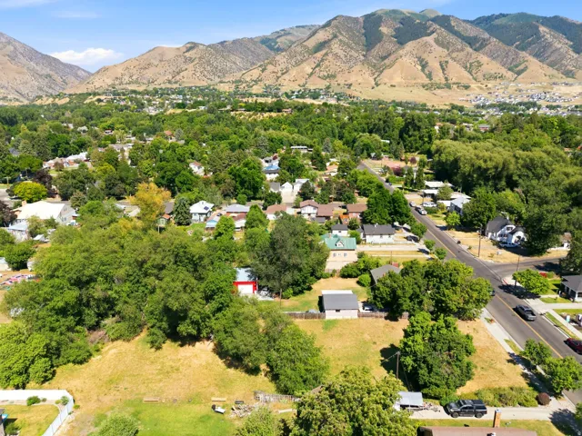Mountain backdrop, extensive tree canopy, residential streets, suburban setting