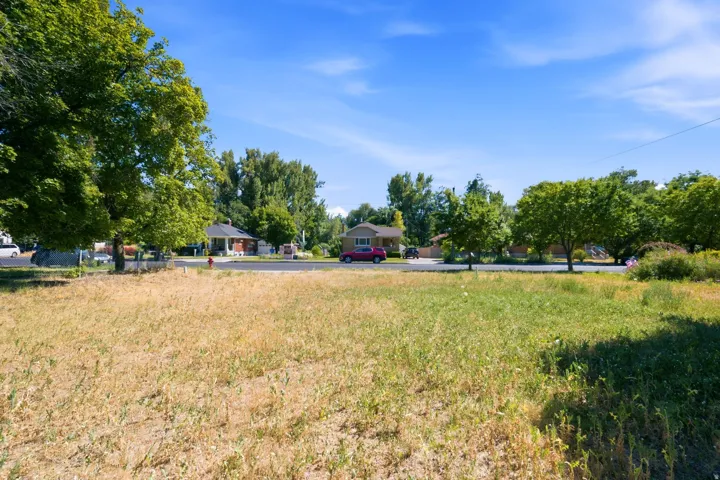 Expansive lot featuring varied ground cover, mature trees, and a clear sky