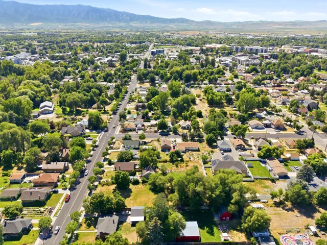 Residential area featuring extensive tree canopy and mountain backdrop
