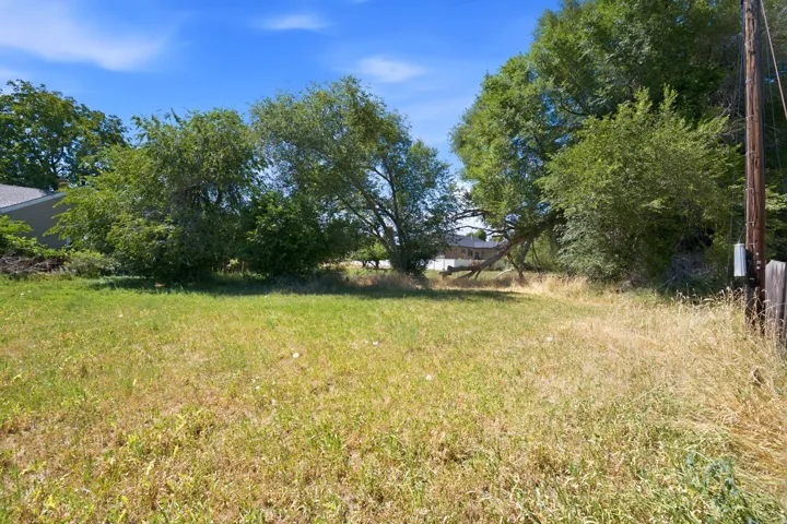 Expansive lot with mature trees and natural landscaping