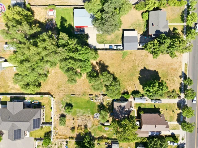 Expansive unimproved lot with mature trees