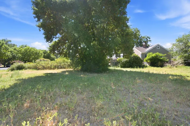 Expansive lot featuring a mature tree