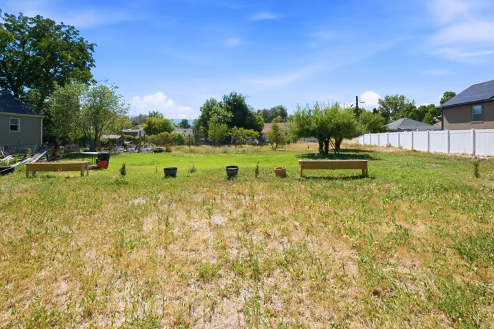 Expansive outdoor space featuring a mature tree, a privacy fence, and a clear sky
