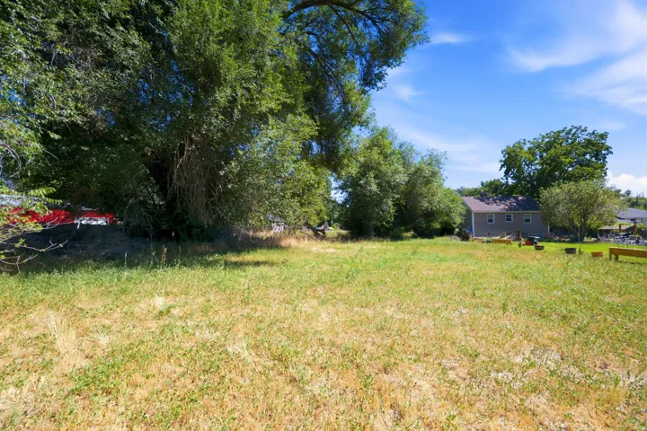 Expansive grassy lot featuring mature trees along the perimeter