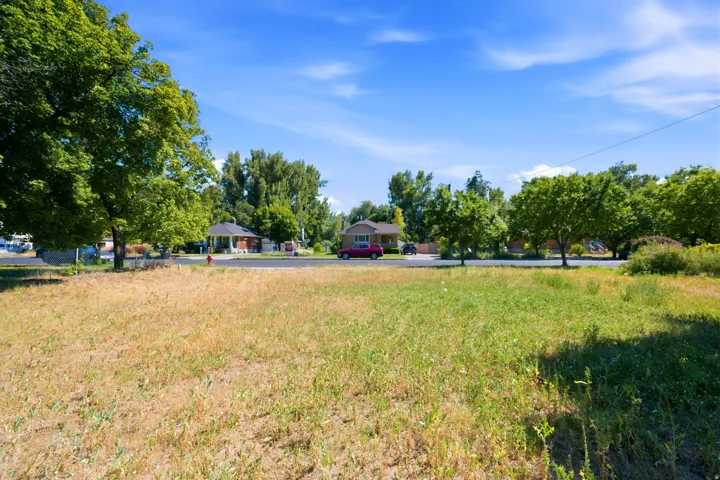 Expansive grassy lot with mature perimeter trees and clear sky overhead