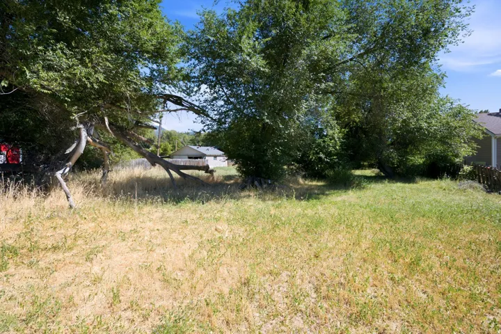 Expansive outdoor space featuring mature trees and a combination of green and dry grasses