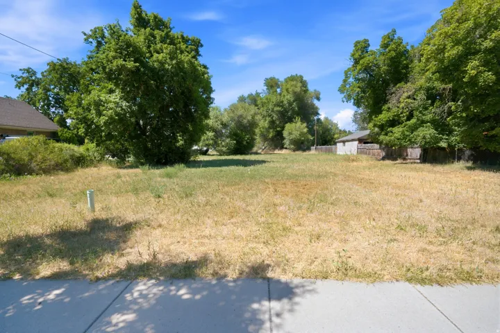 Expansive undeveloped lot with mature perimeter trees and concrete curbing